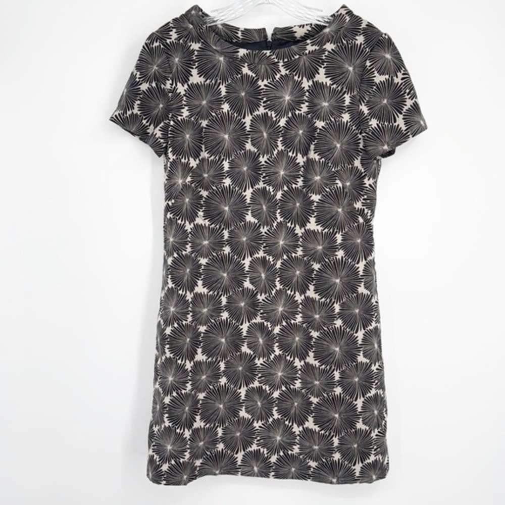 Milly Shift Dress with Short Sleeves and Peter Pan Collar size 6 Black Cream